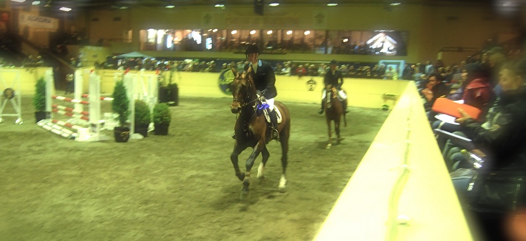 No Worries and Piia Pantsu at the Finals of the Breeders Trophy 2009 arevarv1 redigerad